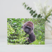 Peek-A-Boo Gorilla -サンキューカード サンキューカード (スタンド正面)