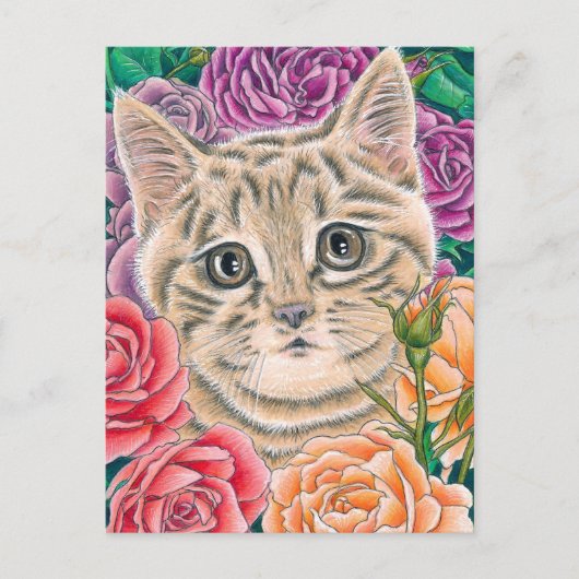 "Peek-a-Boo" postcard シーズンポストカード (正面)