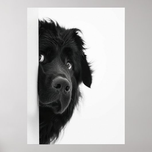 Peek-a-Boo Pup – Funny Dog Photography Print” ポスター (正面)