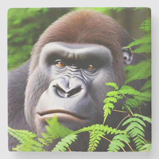 Peekaboo Gorilla、Stone Coaster ストーンコースター (正面)