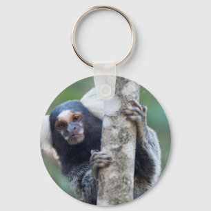 Peekaboo marmoset (Callithrix jacchus) キーホルダー