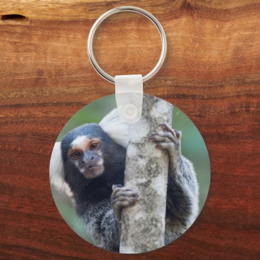 Peekaboo marmoset (Callithrix jacchus) キーホルダー (正面)
