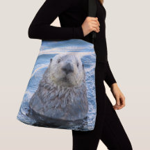Peeking Sea Otter