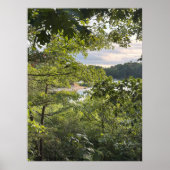 Peeking through the Trees Poster ポスター (正面)