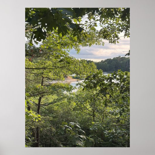 Peeking through the Trees Poster ポスター (正面)