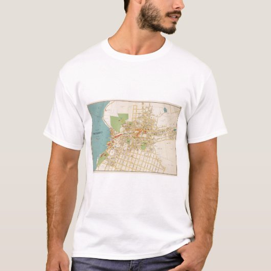 Peekskill Tシャツ (正面)