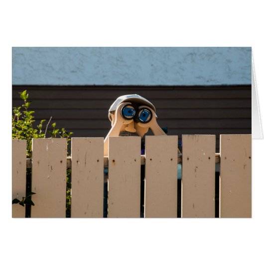 Peeping Neighbor 空白の Inside Card（隣接カードのピープ） (正面横)