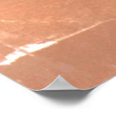 Pegasus Gilded bronze statue skulptur Paris Pont ポスター (角)