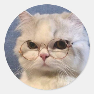 Pegatina de gato ラウンドシール