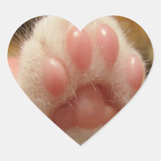 Pegatina de pata de gato ハートシール (正面)