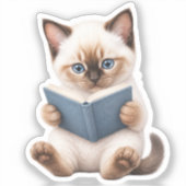 Pegatina Gatito Kawaii Adorable シール (正面)