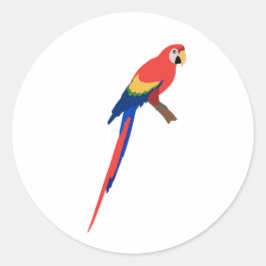 Pegatina guacamaya ラウンドシール