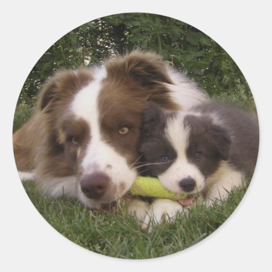 Pegatina Kun y Vir ラウンドシール (正面)