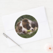 Pegatina Kun y Vir ラウンドシール (封筒)