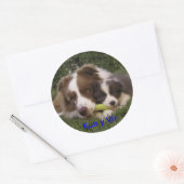 Pegatina Kun y Vir ラウンドシール (封筒)