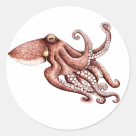 Pegatina Pulpo Octopus vulgaris ラウンドシール
