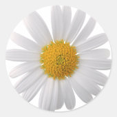 Pegatina Redonda Clásica margarita ラウンドシール (正面)