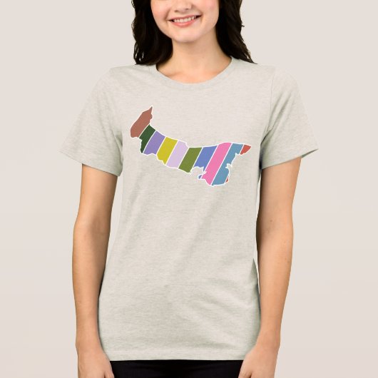 PEIカラーTシャツ トライブレンドTシャツ (正面)