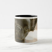 Pekiフランス語 ツートーンマグカップ (中央)