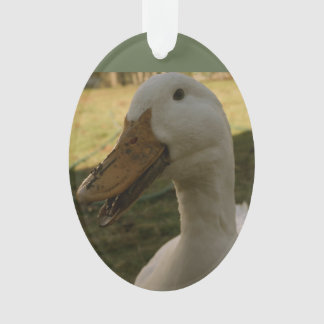 Pekinのアヒルのオーナメント オーナメント