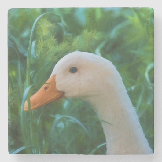 Pekinの白いアヒル ストーンコースター (正面)