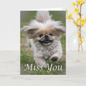 Pekineseの失敗 カード (黄色い花)