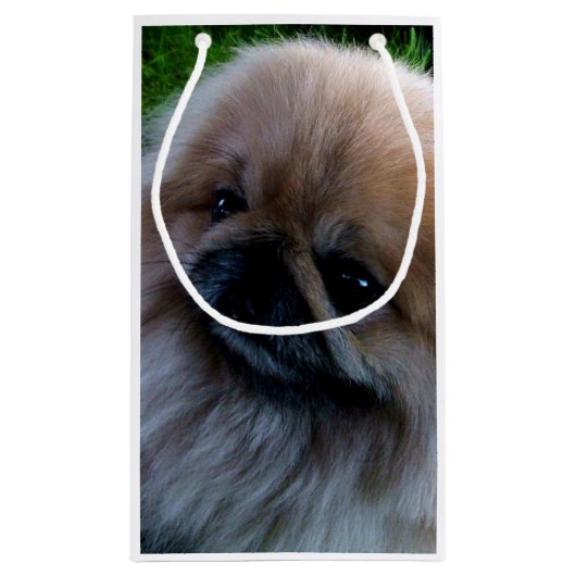 Pekingeseの愛らしい子犬 スモールペーパーバッグ (裏面)