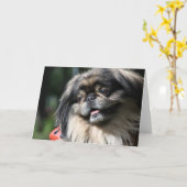 Pekingese犬の挨拶状 カード (黄色い花)