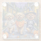 Pekingese Dogs Trick-or-Treating Halloween Costume ガラスコースター (裏面)