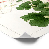 Pelargonium by Tanigami Konan ポスター (角)