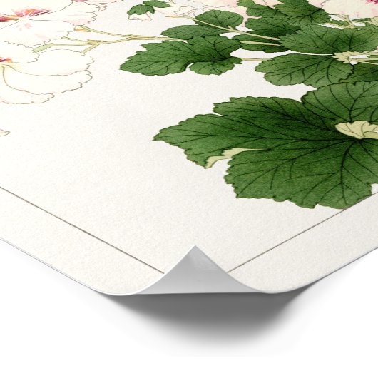 Pelargonium by Tanigami Konan ポスター (角)