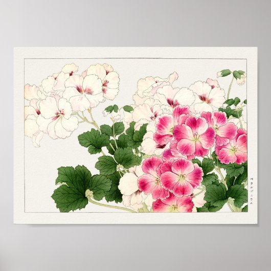 Pelargonium by Tanigami Konan ポスター (正面)