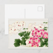 Pelargonium by Tanigami Konan ポストカード (正面/裏面)