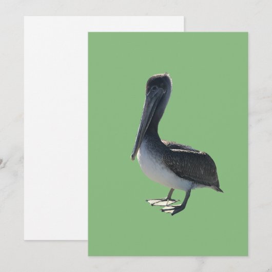 Pelican シーズンカード (正面/裏面)