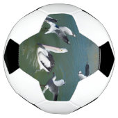 Pelican And The  Gate Crashers,  サッカーボール (回転)