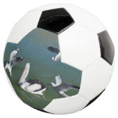 Pelican And The  Gate Crashers,  サッカーボール (3/4)