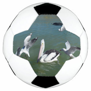 Pelican And The  Gate Crashers,  サッカーボール