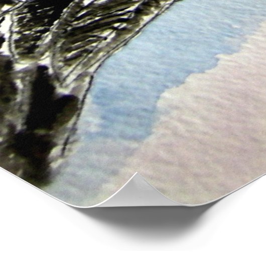 pelican_bird_2 ポスター (角)