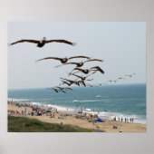 Pelican Bird Gang flying over OBX beach ポスター (正面)