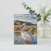 Pelican in Antelope Island State Park Utah ポストカード (スタンド正面)