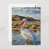 Pelican in Antelope Island State Park Utah ポストカード (正面/裏面)