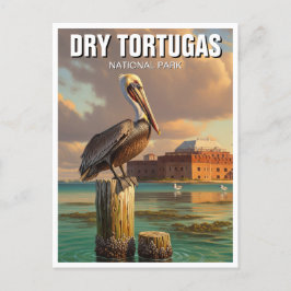 Pelican in Dry Tortugas National Park ポストカード
