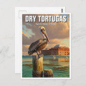 Pelican in Dry Tortugas National Park ポストカード (正面/裏面)