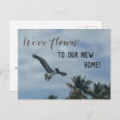 Pelican Palm Trees新しいアドレス発表 案内ポストカード (正面/裏面)