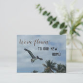 Pelican Palm Trees新しいアドレス発表 案内ポストカード (スタンド正面)