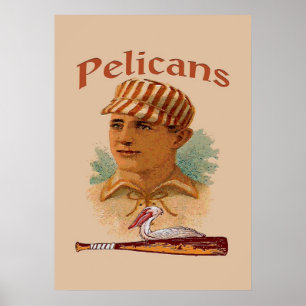 Pelicans Baseball Poster ポスター