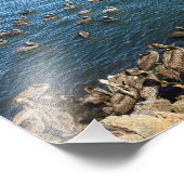 Pelicans Basking - Marina Del Rey, CA フォトプリント (角)