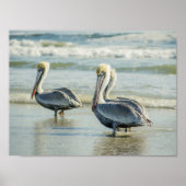 Pelicans on a Florida Beach Birds Archival ポスター (正面)
