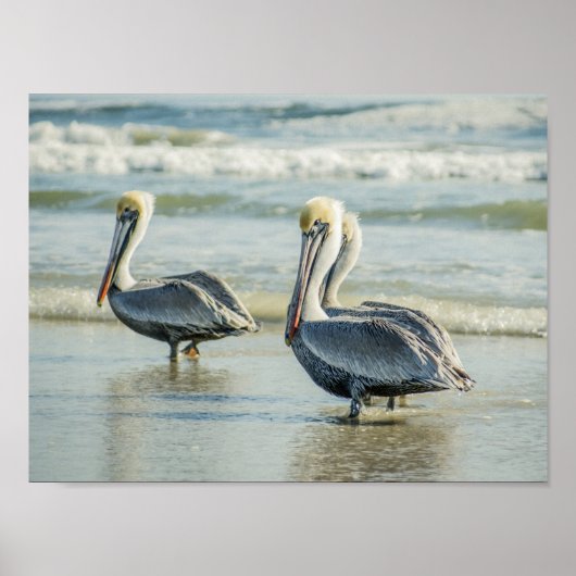 Pelicans on a Florida Beach Birds Archival ポスター (正面)