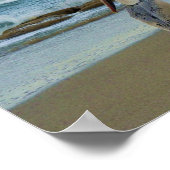 Pelicans on Jensenビーチ（フロリダ州） ポスター (角)